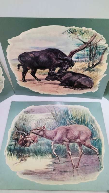 Collection of 8 Large Unused Vintage South African Postcards depicting art by Edmund Caldwell