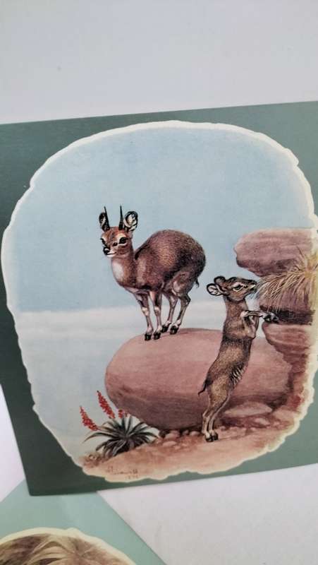 Collection of 8 Large Unused Vintage South African Postcards depicting art by Edmund Caldwell