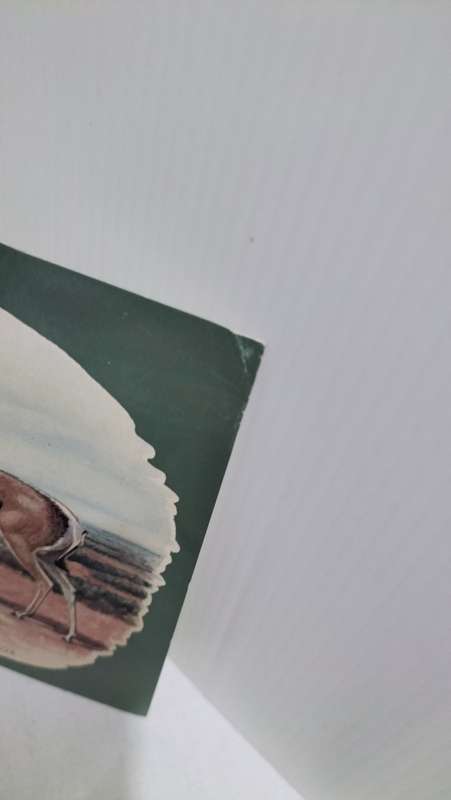 Collection of 8 Large Unused Vintage South African Postcards depicting art by Edmund Caldwell