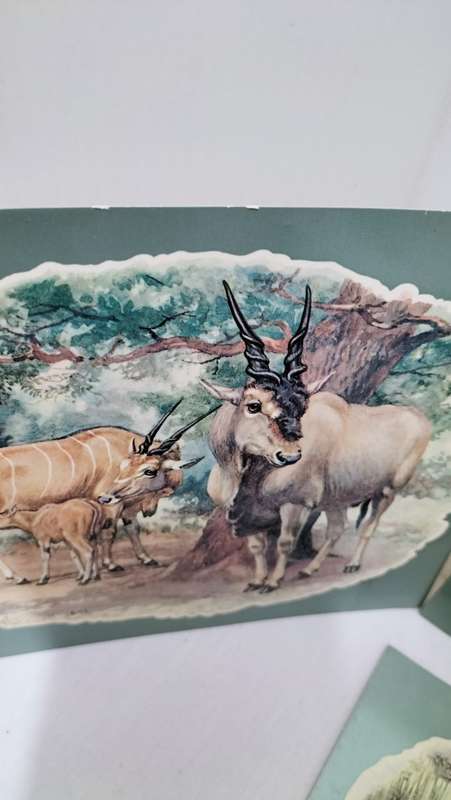 Collection of 8 Large Unused Vintage South African Postcards depicting art by Edmund Caldwell