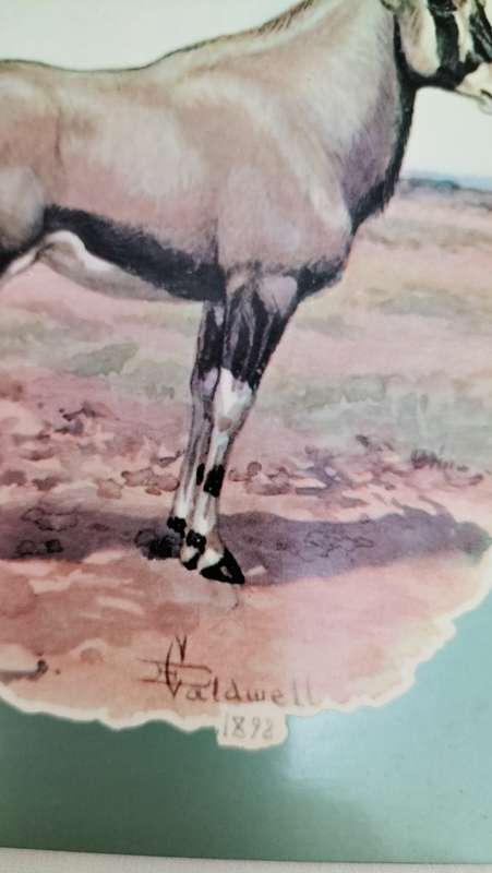 Collection of 8 Large Unused Vintage South African Postcards depicting art by Edmund Caldwell