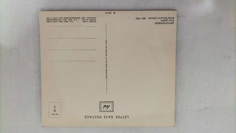 Collection of 8 Large Unused Vintage South African Postcards depicting art by Edmund Caldwell