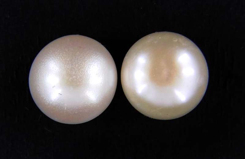 15.72 Carat MGL Certified Pearl Gemstone Pairs -Roundish Shape