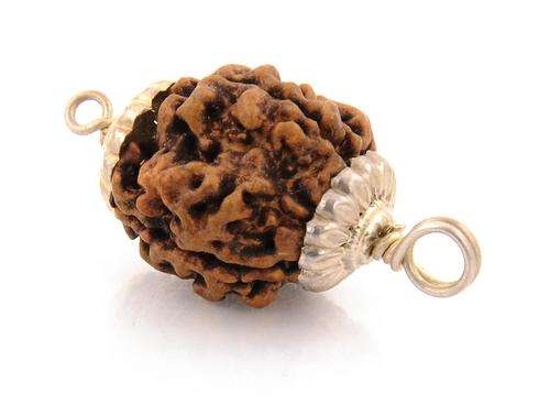 3 Mukhi Rudraksha Beeds from Nepal-17.65 Ct
