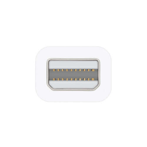 Thunderbolt to Firewire adapter