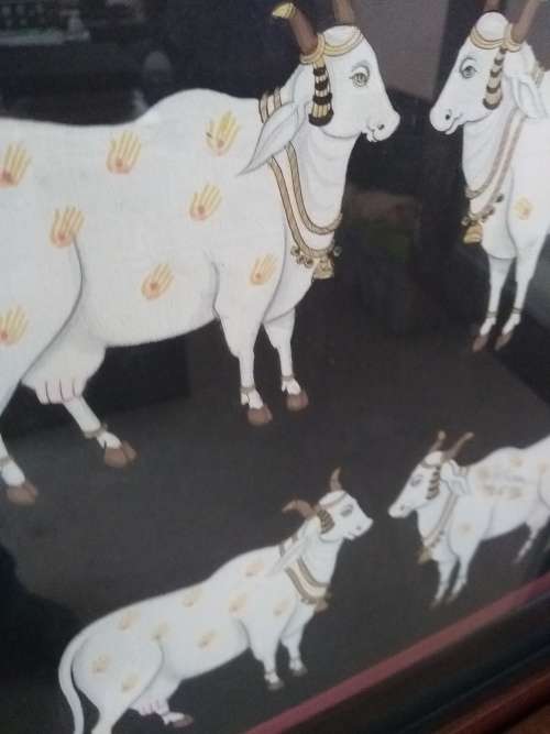 Indian Traditional Art . Pichvai Original