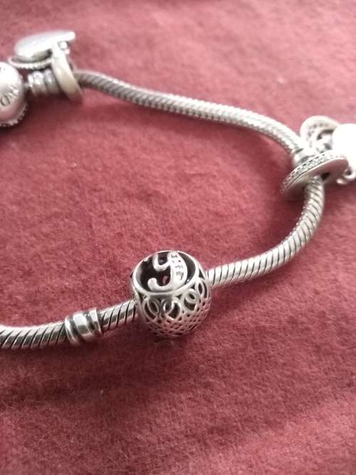 Pandora Bracelet with charms