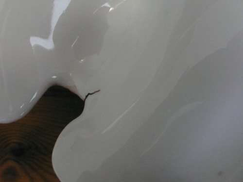 victorian bowl Carl Tielsch