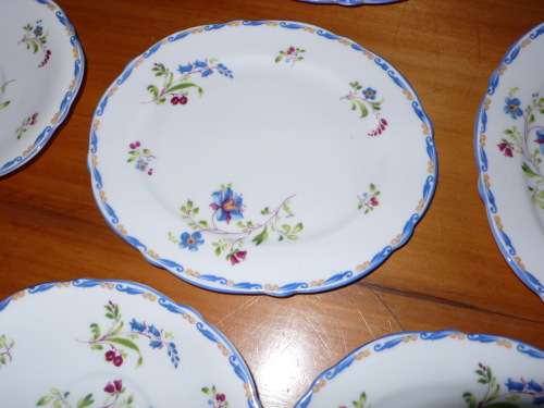 PARAGON ENGLISH BLUE BELLS