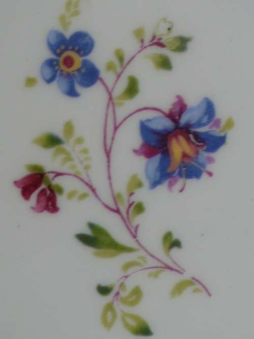 PARAGON ENGLISH BLUE BELLS