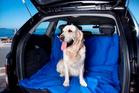 CAR SEAT HAMMOCK - DOUBLE