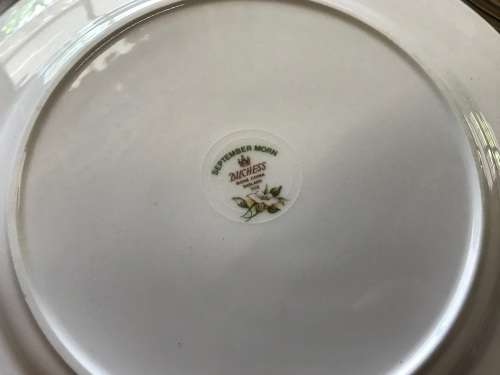 28 Pc Duchess English Bone China September Morn Set in mint condition circa 1961