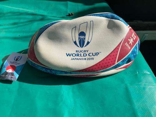 Rugby Balls : Collection of 3 Worldcup Rugby Balls ( 1995, 2011, 2019) Bid per ball to take 1, 2 or