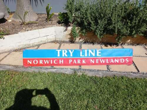 Rugby: Newlands Tryline Cushion ( Double sided)