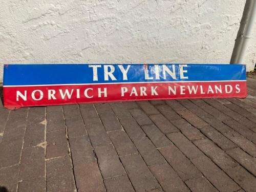Rugby: Newlands Tryline Cushion ( Double sided)