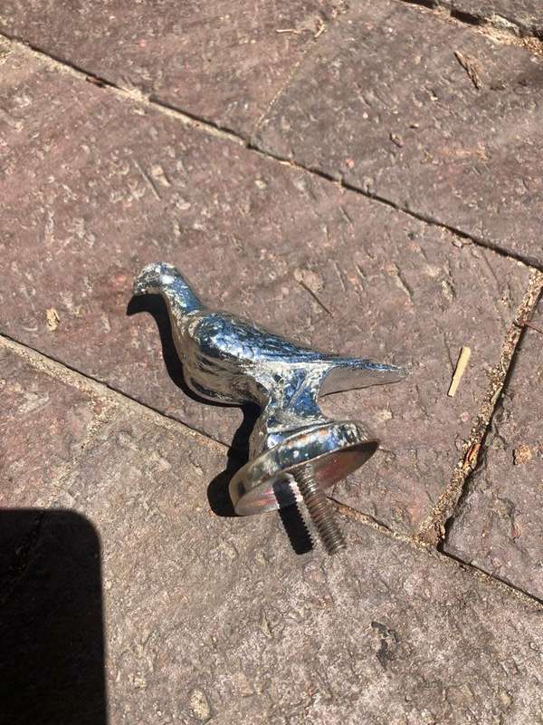 Vintage Chrome Pigeon Car Hood Ornament