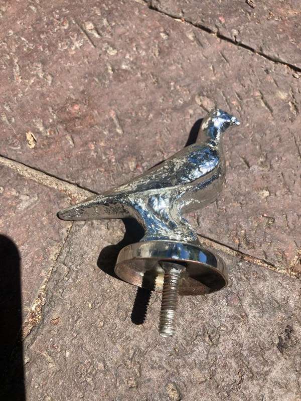 Vintage Chrome Pigeon Car Hood Ornament