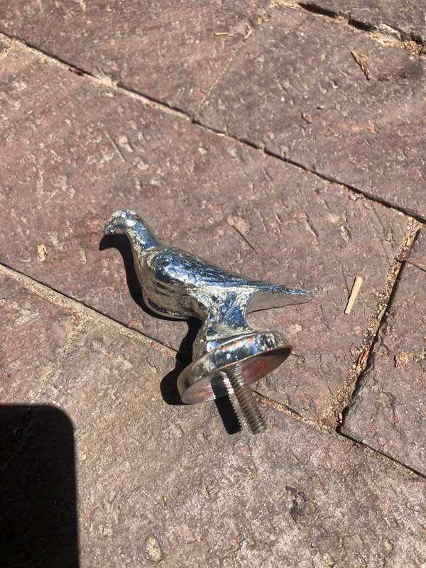 Vintage Chrome Pigeon Car Hood Ornament