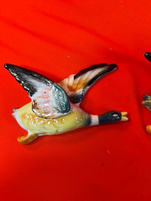 Flying Ducks : Collection of 3 Flying Ducks