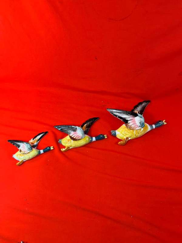 Flying Ducks : Collection of 3 Flying Ducks