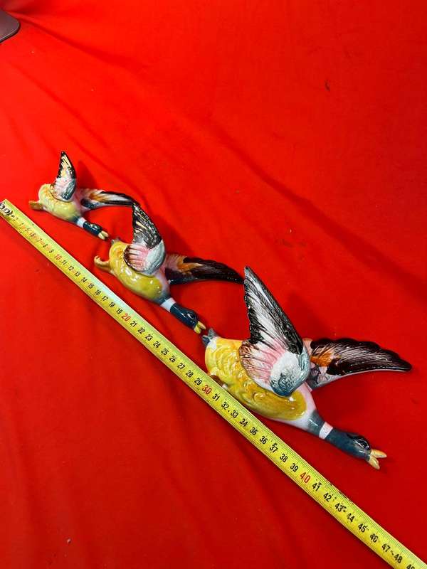 Flying Ducks : Collection of 3 Flying Ducks