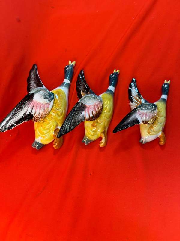 Flying Ducks : Collection of 3 Flying Ducks