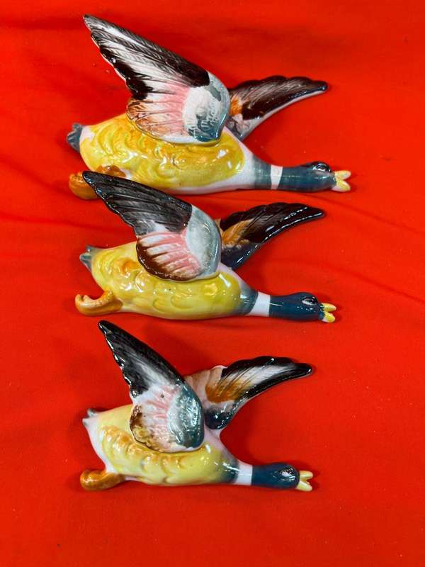 Flying Ducks : Collection of 3 Flying Ducks