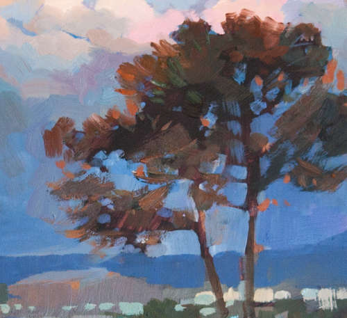 'GRASSY PARK'
