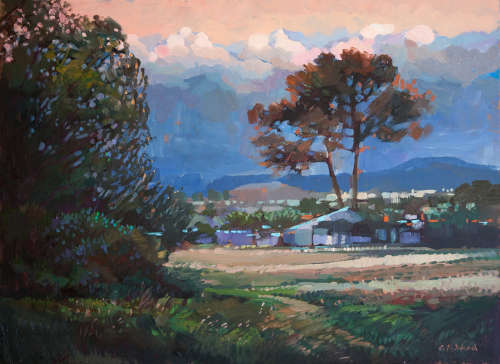 'GRASSY PARK'