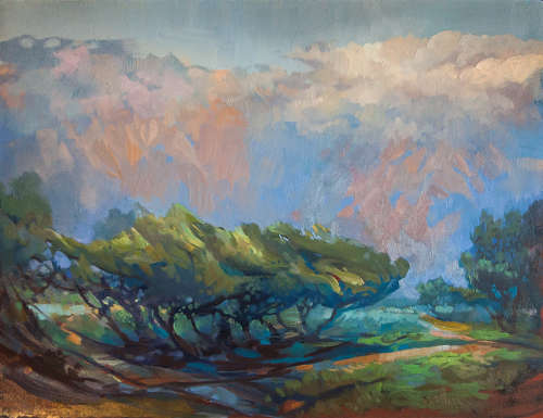 `WINDY GROVE`