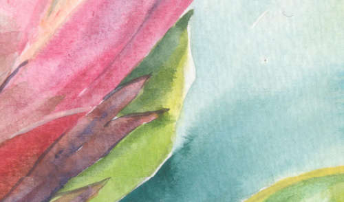 `PROTEA 3`