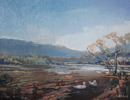 `MUDDY DUCK POND`