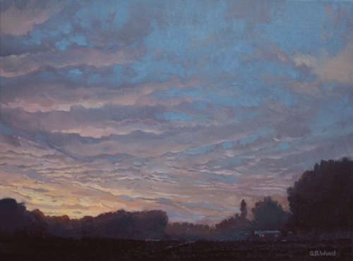 `DUSKY RIPPLES `