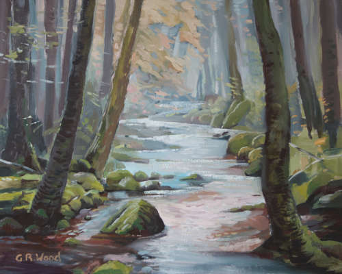 `MAGIC FOREST STREAM 1 `