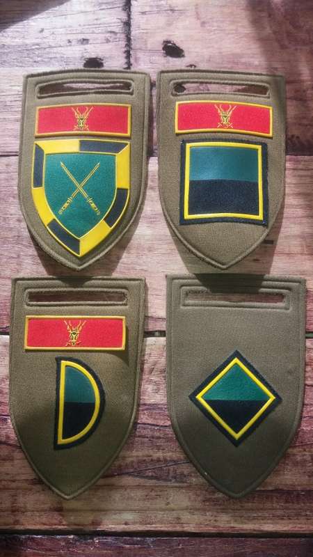S.A.D.F Infantry School Tupper Flash Colection All pins