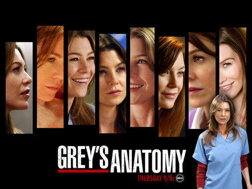 Grey's Anatomy Complete Series 1 to 5 - Box Set