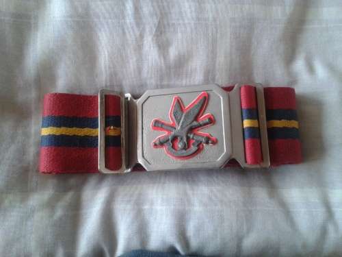 sadf stable belt