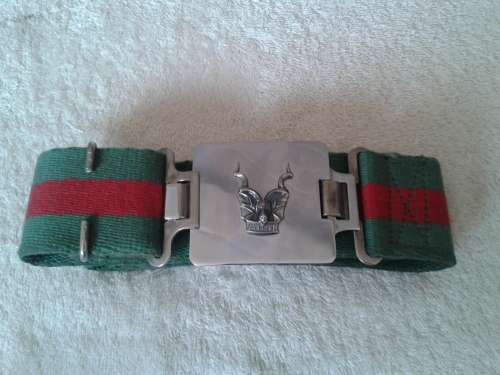 sadf stable belt