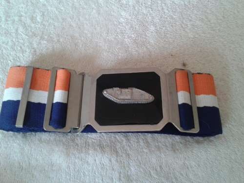 sadf stable belt