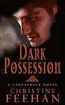 Dark Possession - Christine Feehan - Dark Series Novel - Supernatural Romance E-Book