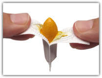 Suppository molds - disposable - 100 mold roll