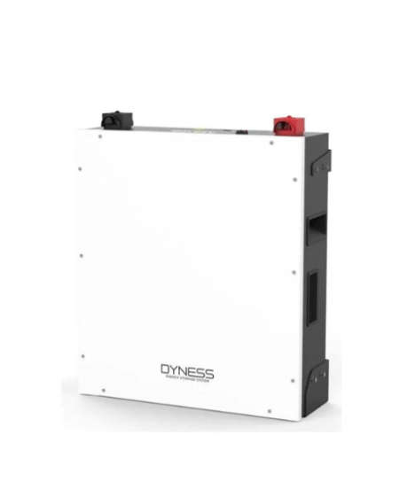 Dyness 5.12kWh 100Ah LiFePo4 Lithium Ion Battery - BX51100