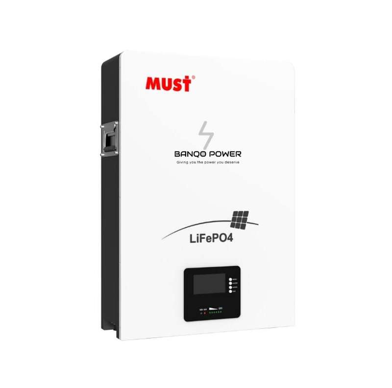 Must 2.56KWH Lithium Ion BATTERY (100Ah)