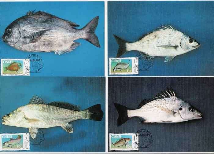 1985 Ciskei Maxicards - Coastal Angling.