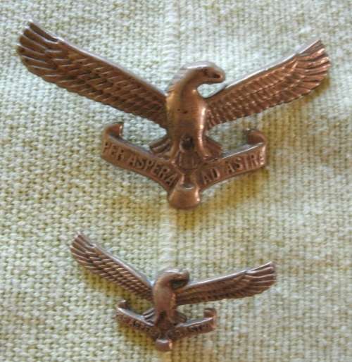 Air Force Beret Badge with collar badge!!