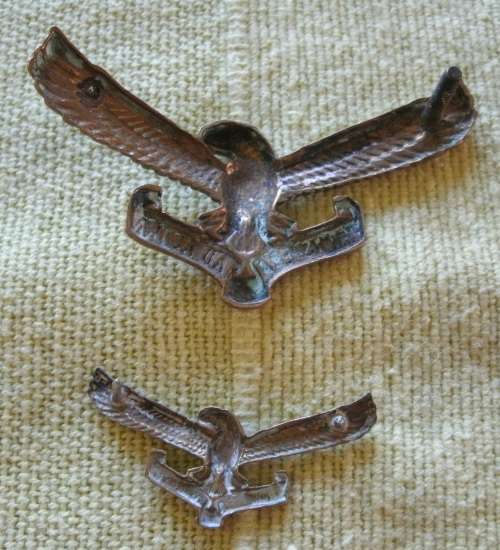 Air Force Beret Badge with collar badge!!