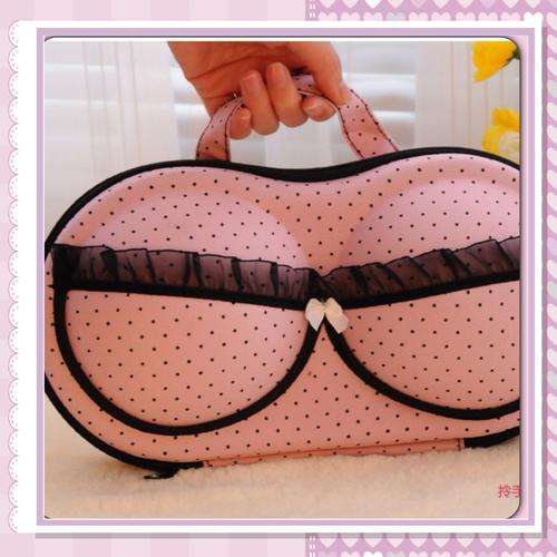 ***SUCH A LOVELY IDEA** TRAVEL UNDERWEAR STORAGE LACE BRA SHAPE ZIPPER BAG