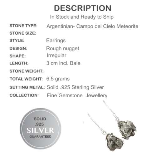 GIBEON METEORITE SET IN SOLID STERLING SILVER DANGLING EARRINGS