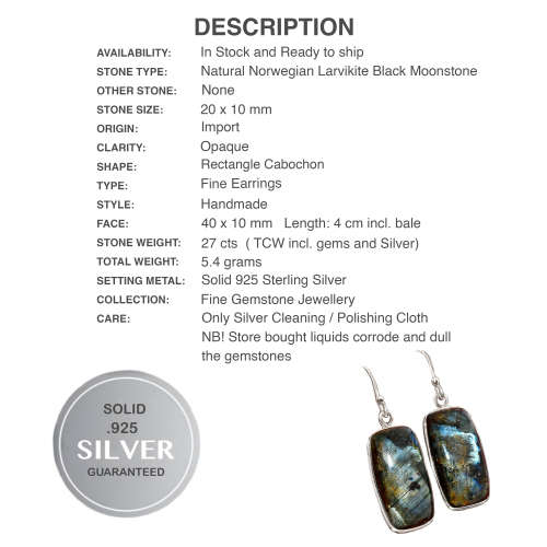Natural Norwegian Larvikite Rectangle Gemstone set in Solid .925 Sterling Silver Earrings