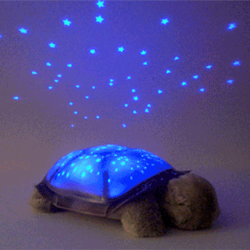 TURTLE NIGHT SKY CONSETELLATIONS